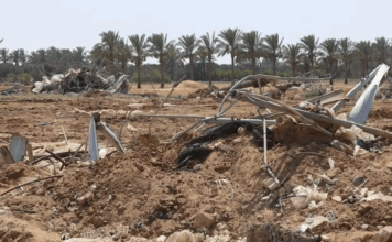 في غزة، 95% من الأراضي الزراعية في حالة خراب