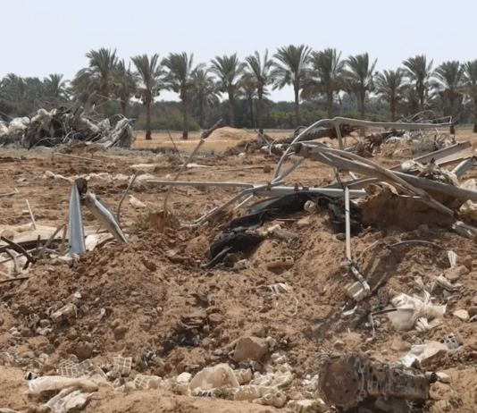 في غزة، 95% من الأراضي الزراعية في حالة خراب