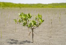 تقرير أممي يحذر من فجوة كبيرة في تمويل التكيف مع تغير المناخ