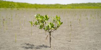 تقرير أممي يحذر من فجوة كبيرة في تمويل التكيف مع تغير المناخ