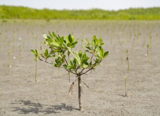 تقرير أممي يحذر من فجوة كبيرة في تمويل التكيف مع تغير المناخ