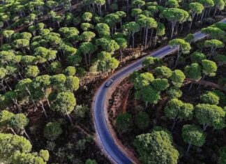 مصارف الكربون تتراجع وتهدد بانتكاسة مناخيّة عالميّة