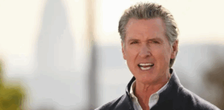 حاكم كاليفورنيا يتحدّى واشنطن: الطاقة الخضراء طريقنا والصين مستقبل الصناعة