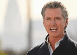 حاكم كاليفورنيا يتحدّى واشنطن: الطاقة الخضراء طريقنا والصين مستقبل الصناعة