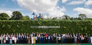 غرينبيس الشرق الأوسط وشمال أفريقيا تدعو مؤتمر الأطراف إلى تجنُّب تكرار الإخفاقات السابقة في مواجهة أزمة المناخ