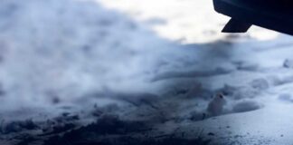 دراسة تكشف عن التأثير الخفي للثلوج الملوثة