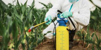 دراسة: المبيدات الزراعية تلوث ثلثي التربة في أوروبا