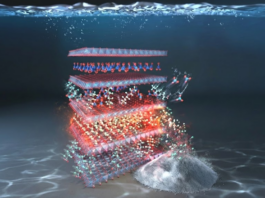 تطوير مرشح يزيل “المواد الكيميائية الأبدية” أسرع بمئة مرة من الكربون